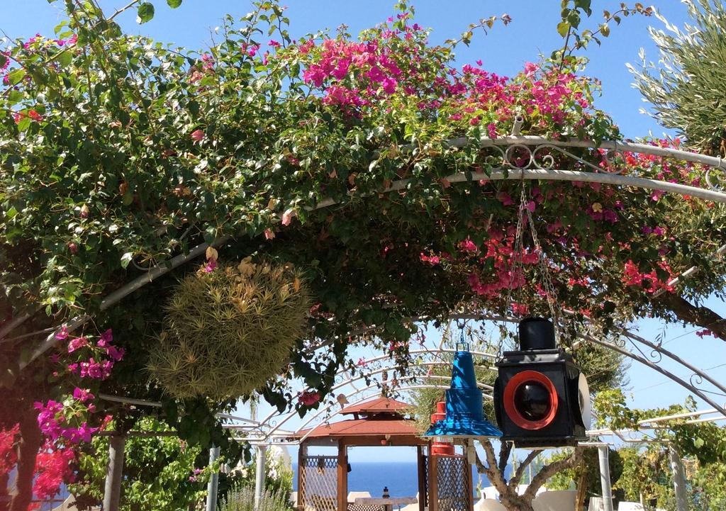 Residenza Stefanelli Apartment Capo Vaticano Luaran gambar